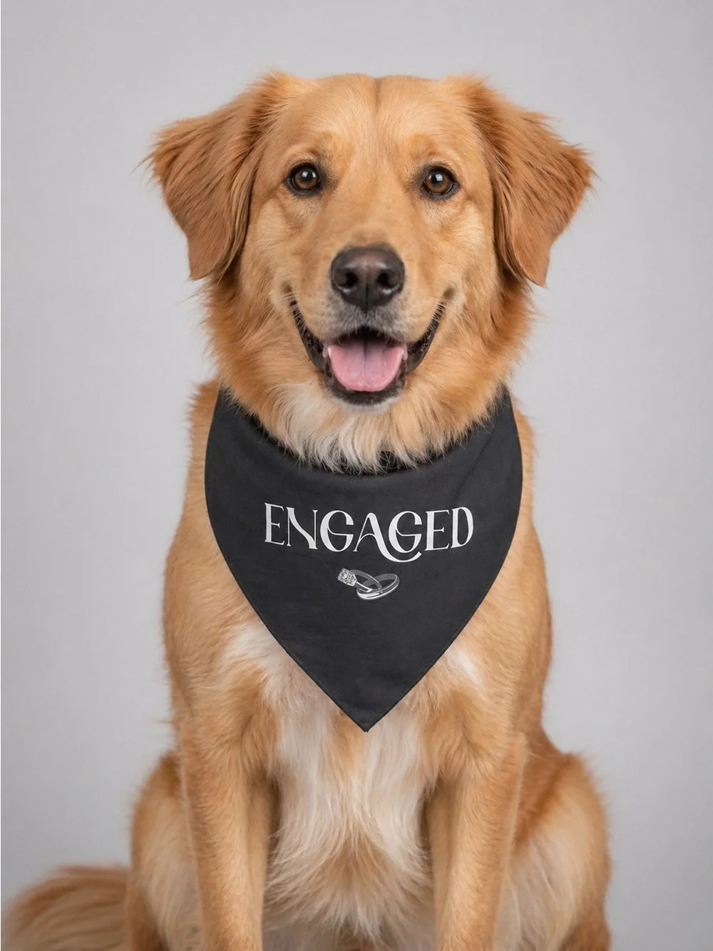 NWT Top Paw Reversible Pet Wedding Bandana “Engaged/Just Married” Size L/XL